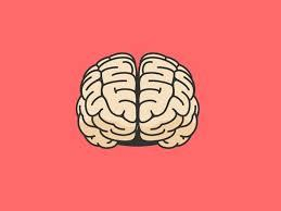 brain.jpg